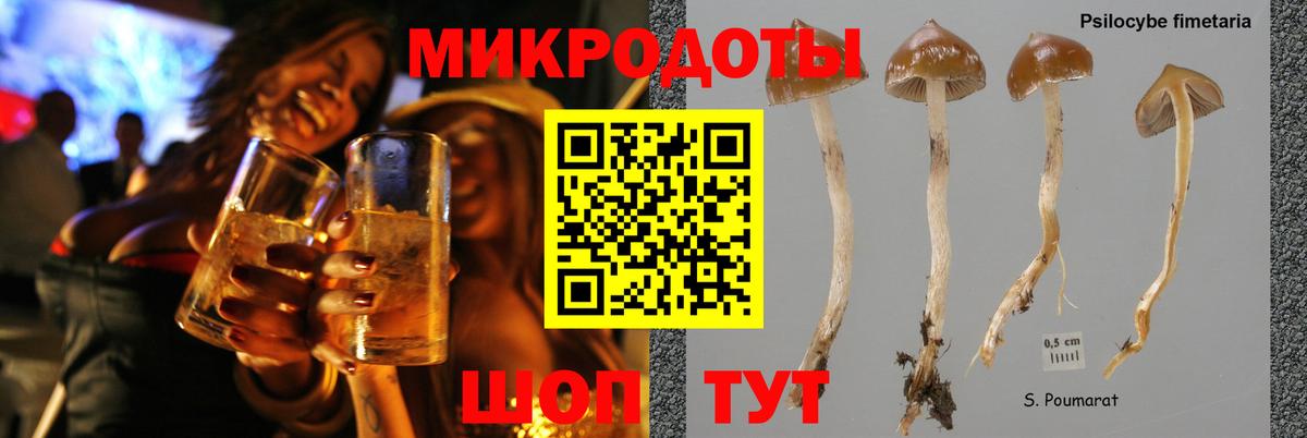 Псилоцибиновые грибы GOLDEN TEACHER Борисоглебск